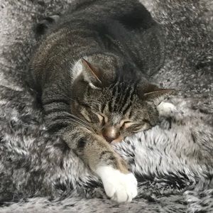 Meet your Posher, Olivia